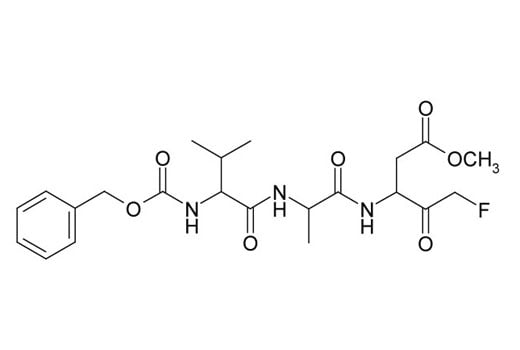 undefined Image 2: Z-VAD(OMe)-FMK