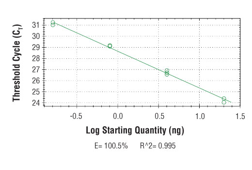 Chromatin Immunoprecipitation Image 2: SimpleChIP<sup>®</sup> Human TRIO Exon 57 Primers