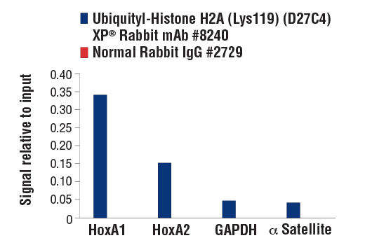 Chromatin Immunoprecipitation Image 3: Ubiquityl-Histone H2A (Lys119) (D27C4) XP<sup>®</sup> Rabbit mAb