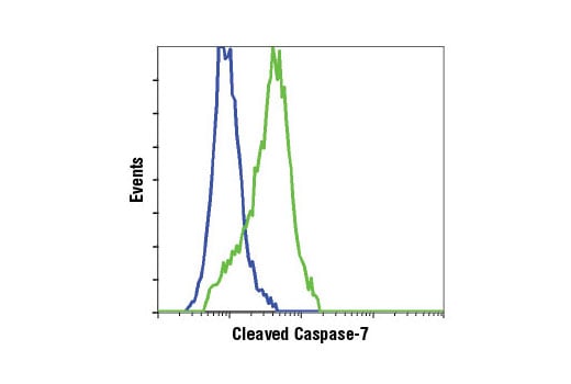 Flow Cytometry Image 1: Cleaved Caspase-7 (Asp198) (D6H1) Rabbit mAb