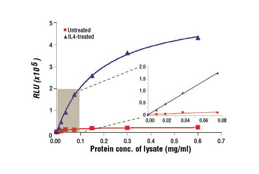 undefined Image 1: PathScan<sup>®</sup> Phospho-Stat6 (Tyr641) Chemiluminescent Sandwich ELISA Kit