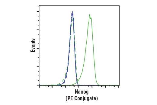 Flow Cytometry Image 1: Nanog (D2A3) XP<sup>®</sup> Rabbit mAb (PE Conjugate)