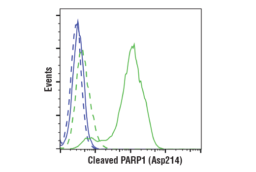 undefined Image 31: Apoptosis Antibody Sampler Kit II