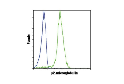 undefined Image 24: MHC Class I Antigen Processing and Presentation Antibody Sampler Kit