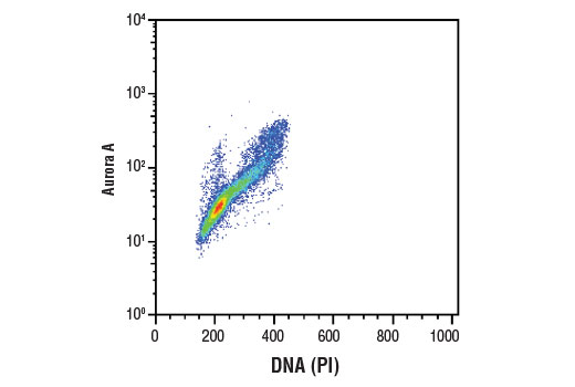 undefined Image 12: Aurora Antibody Sampler Kit