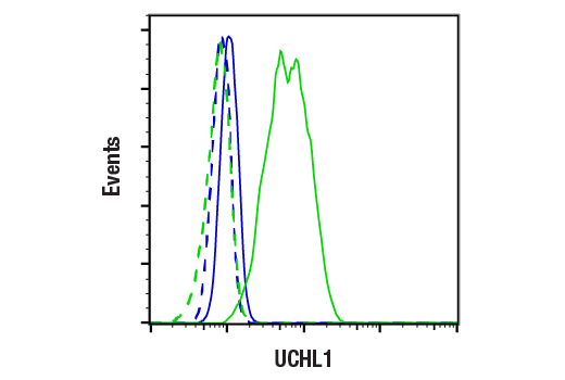 Flow Cytometry Image 1: UCHL1 (D3T2E) XP<sup>®</sup> Rabbit mAb