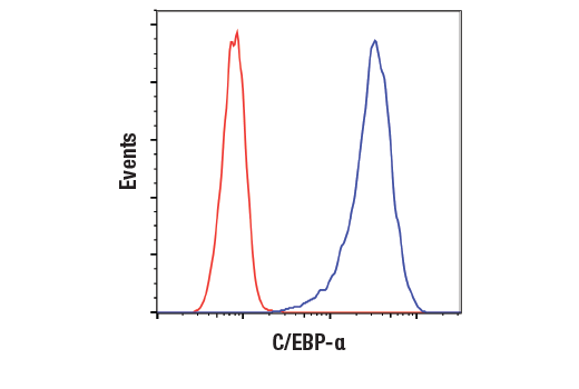 Flow Cytometry Image 1: C/EBPα (D56F10) XP<sup>®</sup> Rabbit mAb (BSA and Azide Free)