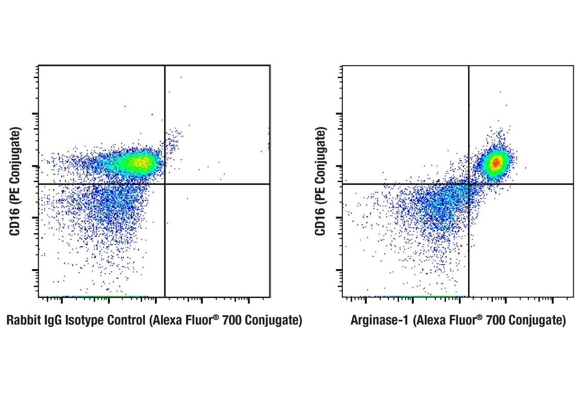 Flow Cytometry Image 1: Arginase-1 (D4E3M<sup>™</sup>) XP<sup>®</sup> Rabbit mAb (Alexa Fluor<sup>®</sup> 700 Conjugate)