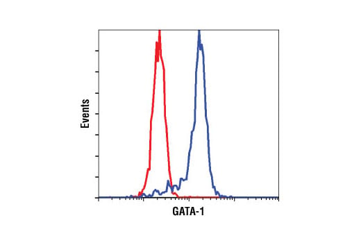 Flow Cytometry Image 1: GATA-1 (D24E4) XP<sup>®</sup> Rabbit mAb