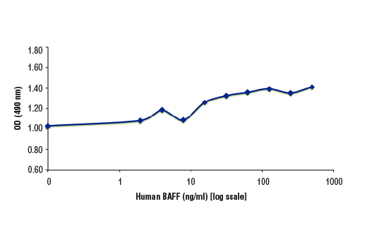 undefined Image 1: Human BAFF/TNFSF13B (hBAFF) Recombinant Protein