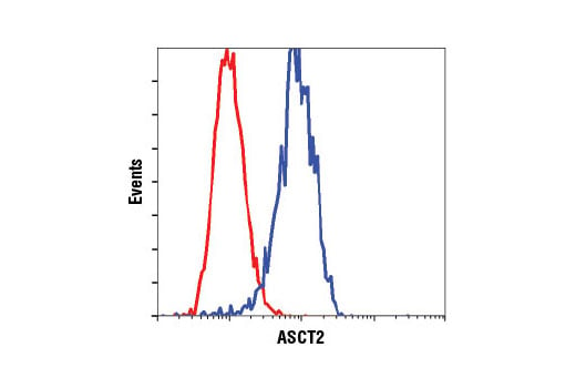 undefined Image 40: Glutamine Metabolism Antibody Sampler Kit