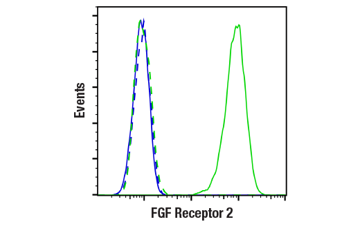 Flow Cytometry Image 1: FGF Receptor 2 (D4L2V) Rabbit mAb (BSA and Azide Free)