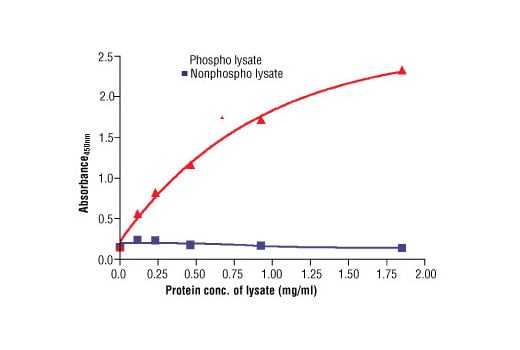 ELISA Image 2: PathScan<sup>®</sup> Phospho-Ret (panTyr) Sandwich ELISA Kit