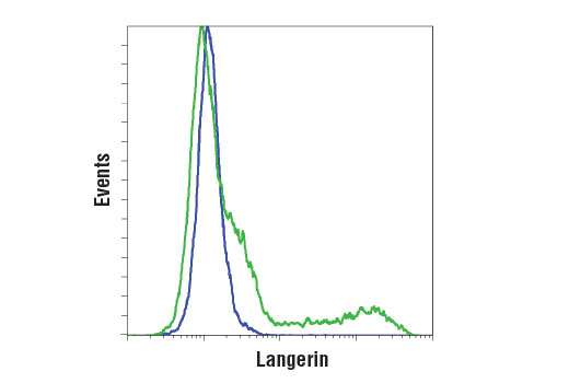 Flow Cytometry Image 1: Langerin (D9H7R) XP<sup>®</sup> Rabbit mAb (BSA and Azide Free)