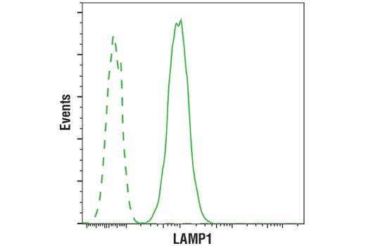 undefined Image 32: PICALM Signaling Antibody Sampler Kit
