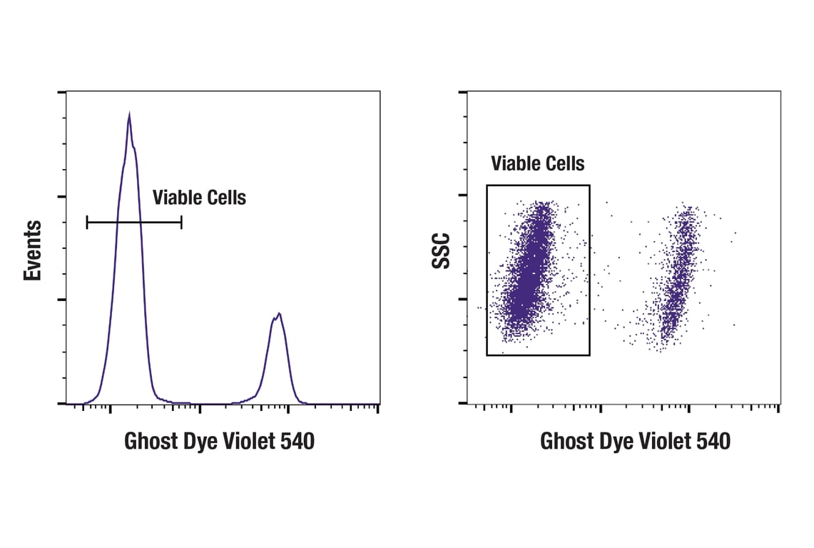 Flow Cytometry Image 1: Ghost Dye Violet 540 Fixable Viability Dye