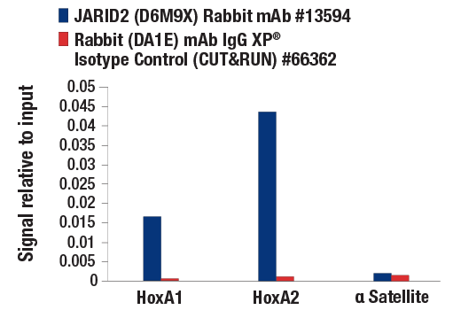 CUT & RUN Image 3: JARID2 (D6M9X) Rabbit mAb
