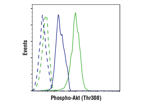 Flow Cytometry Image 1: Phospho-Akt (Thr308) (D25E6) XP<sup>®</sup> Rabbit mAb (BSA and Azide Free)