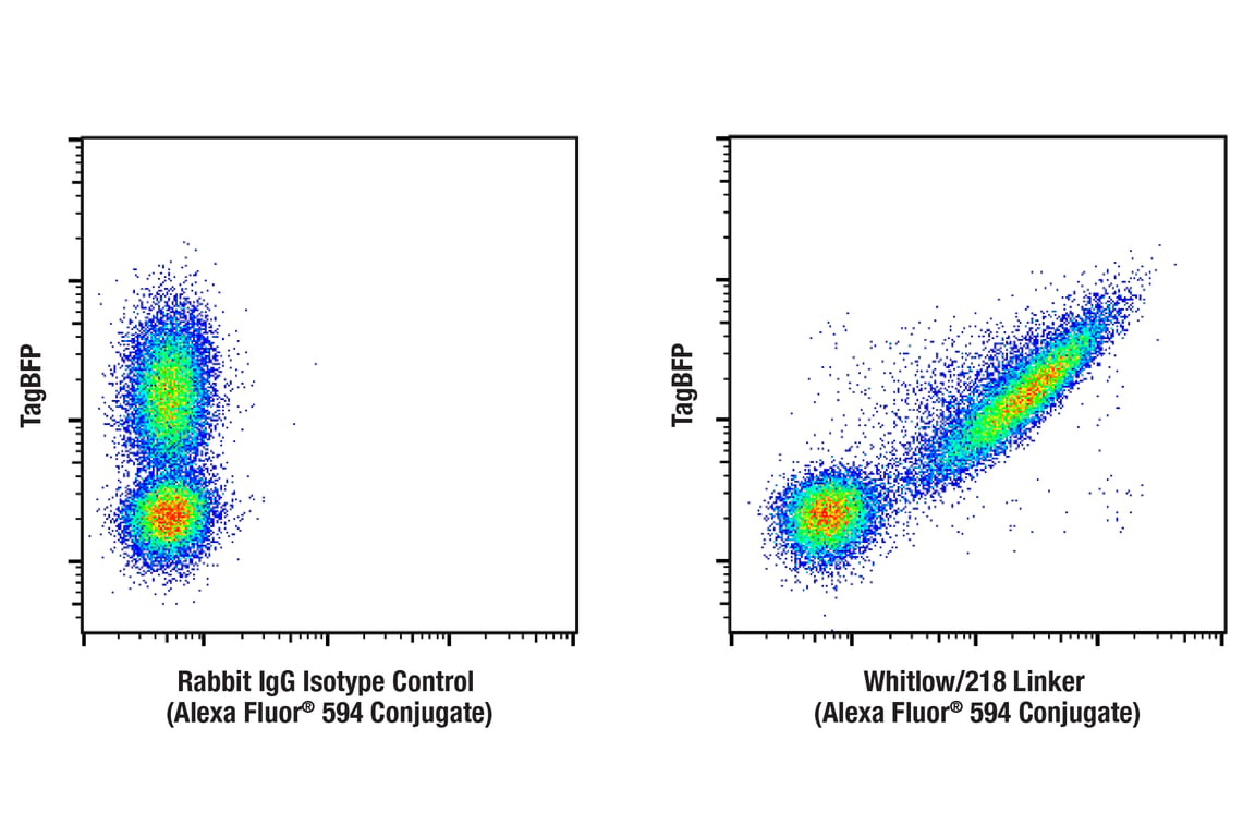 Flow Cytometry Image 1: Whitlow/218 Linker (E3U7Q) Rabbit mAb (Alexa Fluor<sup>®</sup> 594 Conjugate)