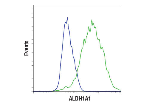 Flow Cytometry Image 1: ALDH1A1 (D9Q8E) XP<sup>®</sup> Rabbit mAb (BSA and Azide Free)