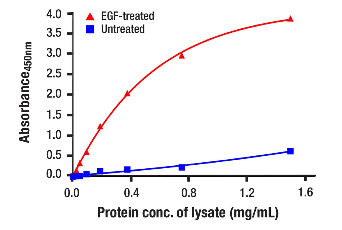 ELISA Image 1: Phospho-Stat1 (Tyr701) (58D6) Rabbit mAb (BSA and Azide Free)