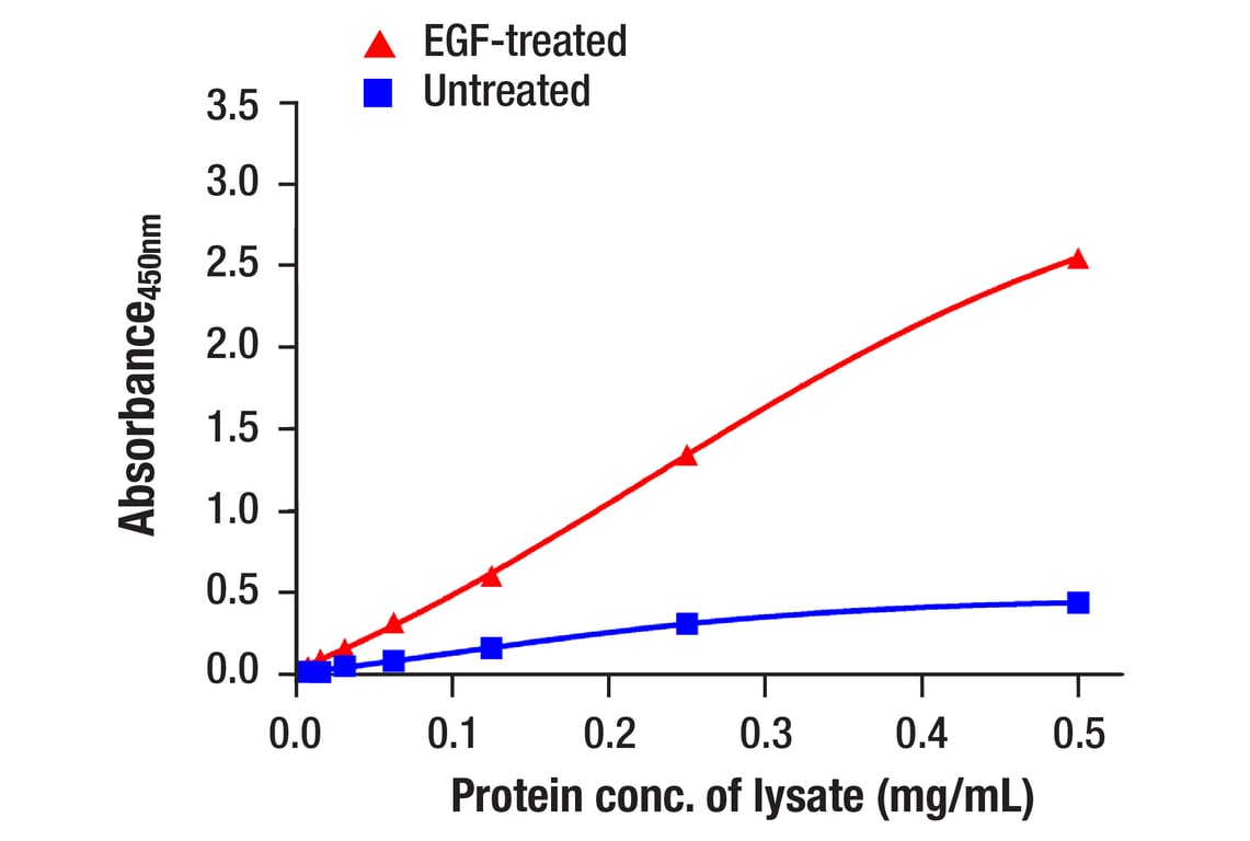 ELISA Image 1: Stat1 (D4Y6Z) Rabbit mAb (BSA and Azide Free)