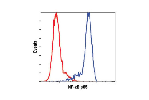 undefined Image 11: PhosphoPlus<sup>®</sup> NF-κB p65/RelA (Ser536) Antibody Duet