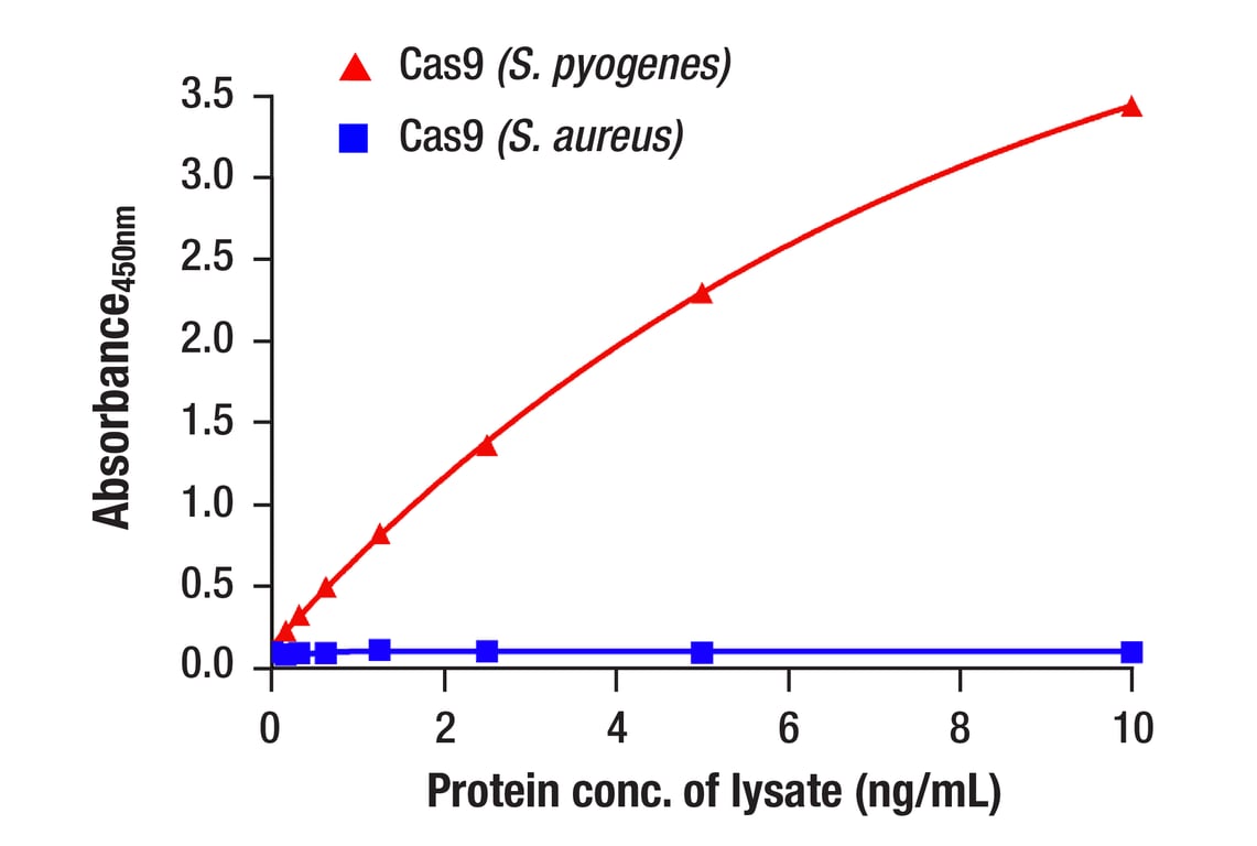 ELISA Image 1: Cas9 (<i>S. pyogenes</i>) (7A9-3A3) Mouse mAb (BSA and Azide Free)