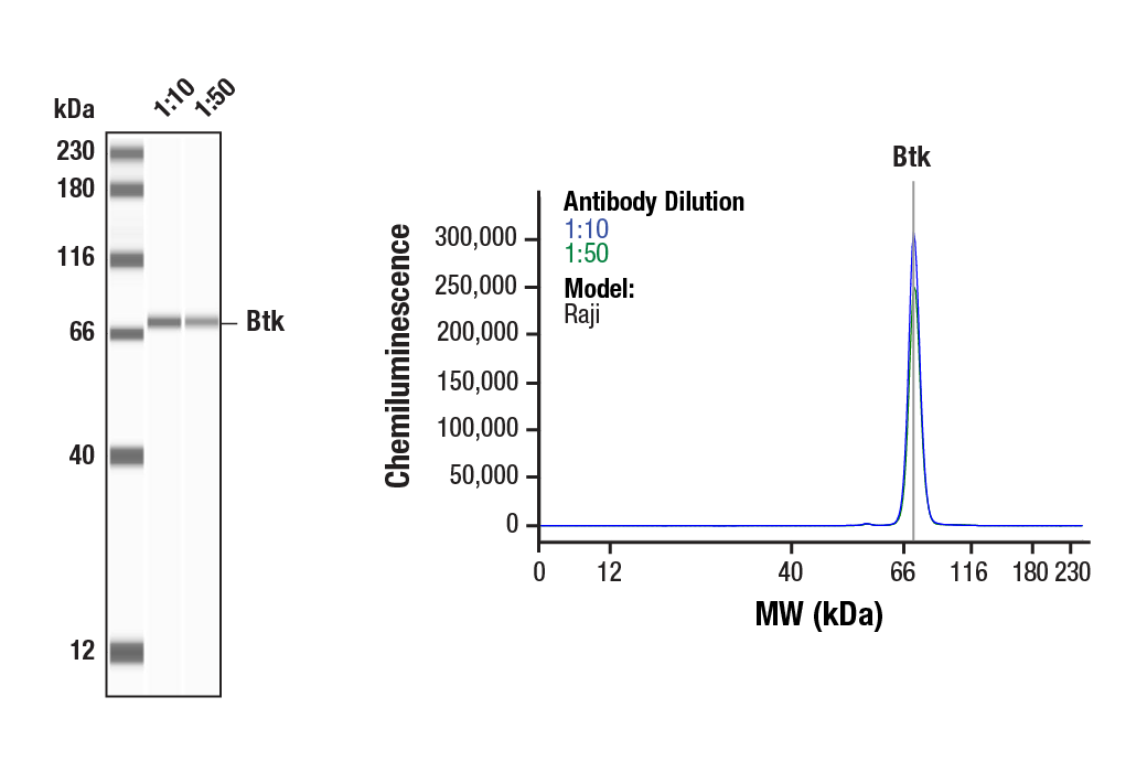 undefined Image 2: PhosphoPlus<sup>®</sup> Btk (Tyr223) Antibody Duet