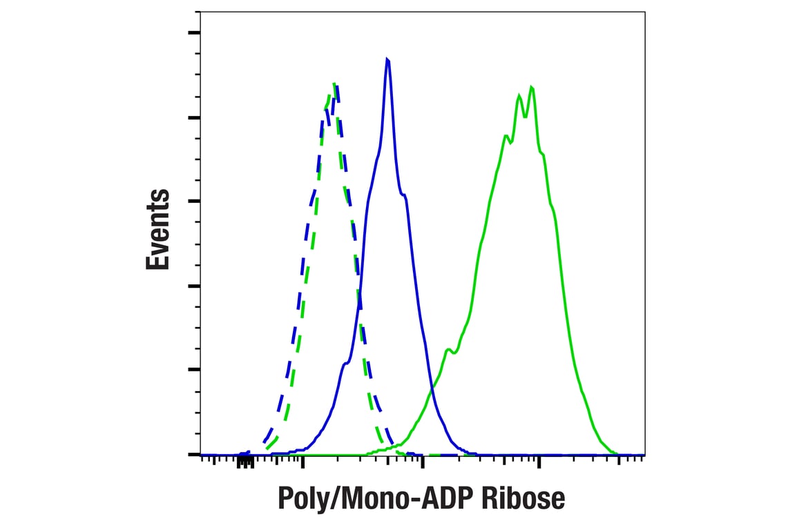 undefined Image 6: Parthanatos Antibody Sampler Kit
