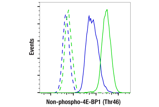 undefined Image 18: 4E-BP Antibody Sampler Kit