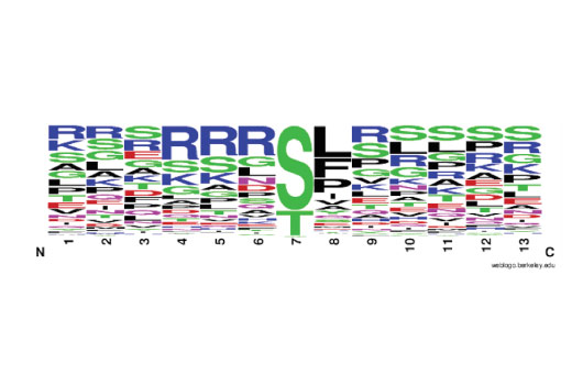 PTMScan Image 2: PTMScan<sup>®</sup> Phospho-PKC Substrate Motif [(R/K)(R/K)Xp(S/T)X(R/X)] Kit