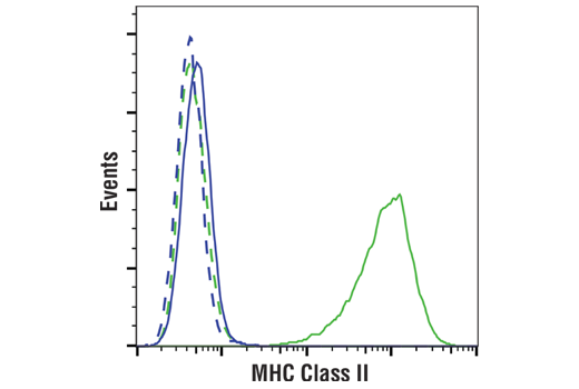 undefined Image 52: Late-Onset Alzheimer's Disease Risk Gene Antibody Sampler Kit