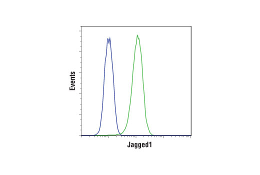 Flow Cytometry Image 1: Jagged1 (D4Y1R) XP<sup>®</sup> Rabbit mAb