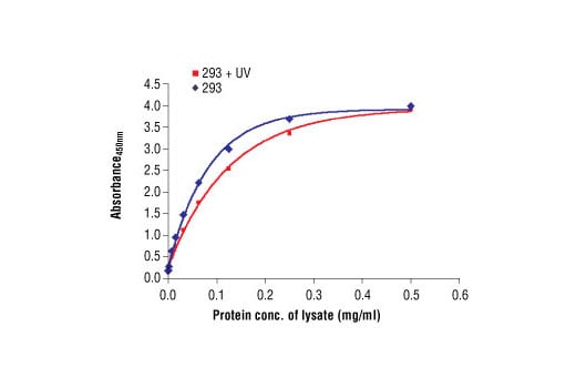 ELISA Image 1: PathScan<sup>®</sup> Total SAPK/JNK Sandwich ELISA Antibody Pair