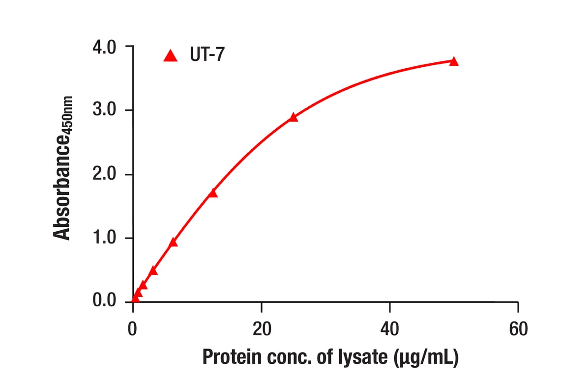 ELISA Image 1: PathScan<sup>®</sup> RP Mono-Methyl-Histone H3 (Lys9) Sandwich ELISA Kit