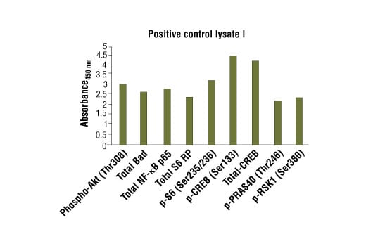 undefined Image 1: PathScan<sup>®</sup> Sandwich ELISA Control Phospho Cell Extract I