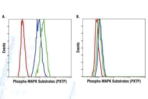 Flow Cytometry Image 1: Phospho-MAPK Substrates (PXTP) (46G11) Rabbit mAb