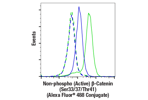 Flow Cytometry Image 1: Non-phospho (Active) β-Catenin (Ser33/37/Thr41) (D13A1) Rabbit mAb (Alexa Fluor<sup>®</sup> 488 Conjugate)