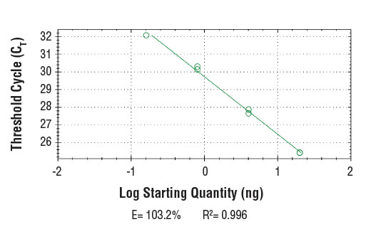 Chromatin Immunoprecipitation Image 2: SimpleChIP<sup>®</sup> Human ID1 5'UTR Primers