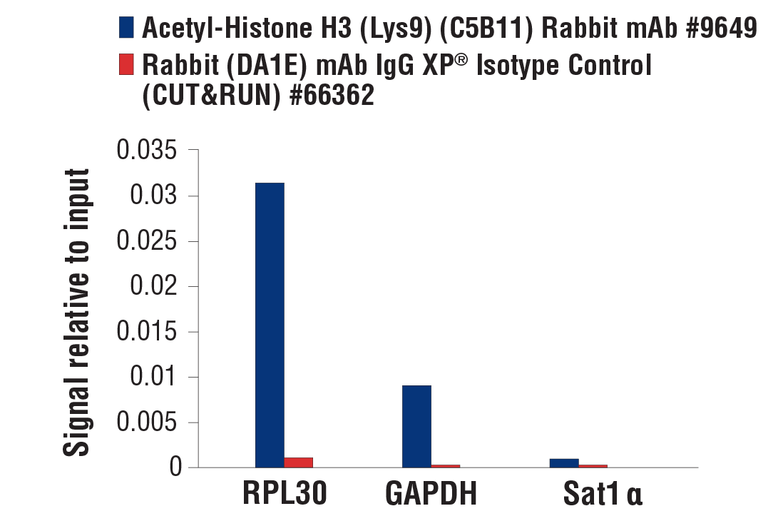 CUT & RUN Image 3: Acetyl-Histone H3 (Lys9) (C5B11) Rabbit mAb