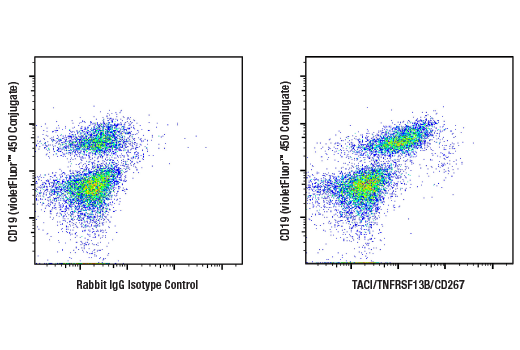 Flow Cytometry Image 1: TACI/TNFRSF13B/CD267 (E3P6X) Rabbit mAb