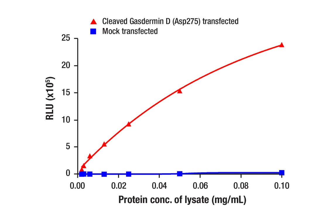 ELISA Image 1: Cleaved Gasdermin D (Asp275) (E7H9G) Rabbit mAb (BSA and Azide Free)