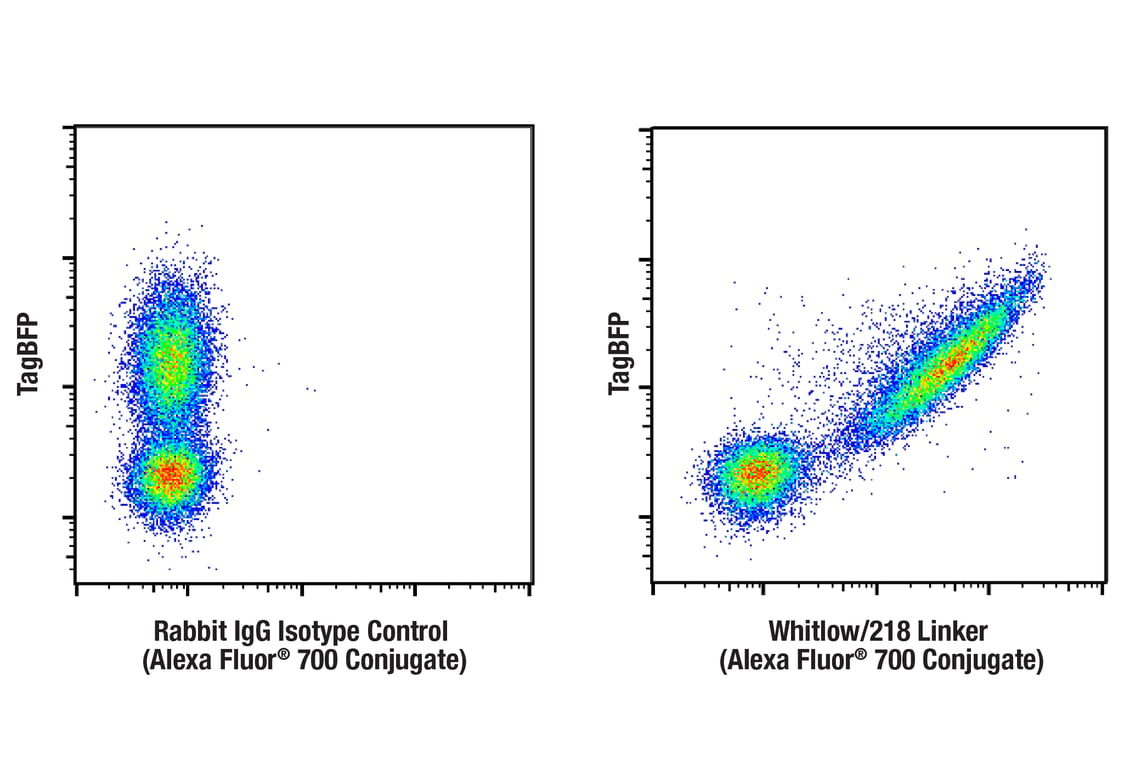 Flow Cytometry Image 1: Whitlow/218 Linker (E3U7Q) Rabbit mAb (Alexa Fluor<sup>®</sup> 700 Conjugate)