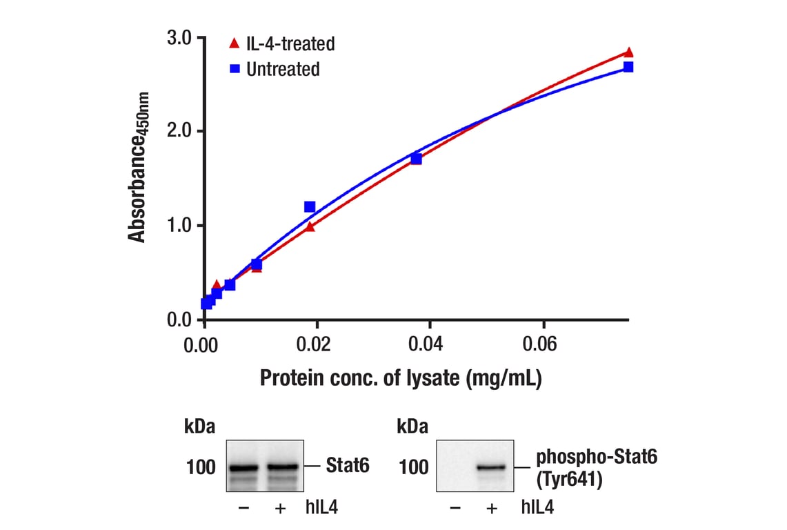 ELISA Image 1: PathScan<sup>®</sup> RP Total Stat6 Sandwich ELISA Kit