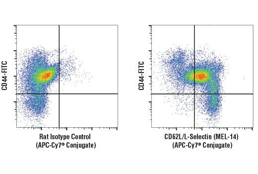 Flow cytometric analysis of live mouse splenocytes using CD62L/L-Selectin (MEL-14) Rat mAb (APC-Cy®7 Conjugate) #18118 (right) compared to concentration-matched Rat Isotype Control (APC-Cy®7 Conjugate) (left), co-stained with CD44 (IM7) Rat mAb (FITC Conjugate) #75122.