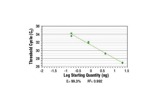 Chromatin Immunoprecipitation Image 2: SimpleChIP<sup>®</sup> Human Axin2 Intron 1 Primers