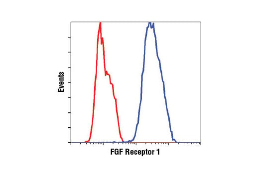 Flow Cytometry Image 1: FGF Receptor 1 (D8E4) XP<sup>®</sup> Rabbit mAb (BSA and Azide Free)