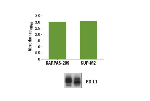 ELISA Image 1: PathScan<sup>®</sup> Total PD-L1 Sandwich ELISA Kit