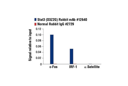 undefined Image 14: PhosphoPlus<sup>®</sup> Stat3 (Tyr705) Antibody Duet